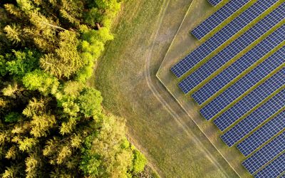 Der BSW drängt auf eine Erhöhung der zulässigen Gebote für Solarauktionen. (Foto: AdobeStock - David-A380 510000534)