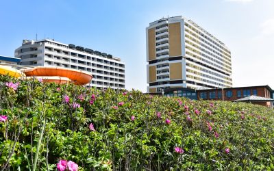 In Zukunft wird es auf Sylt nur noch in Ausnahmefällen neue Hotels geben. (Foto: AdobeStock - David 319044846)