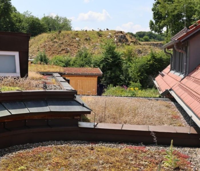 Der Blick über die verschiedenen Gründachflächen (Foto: ZinCo)