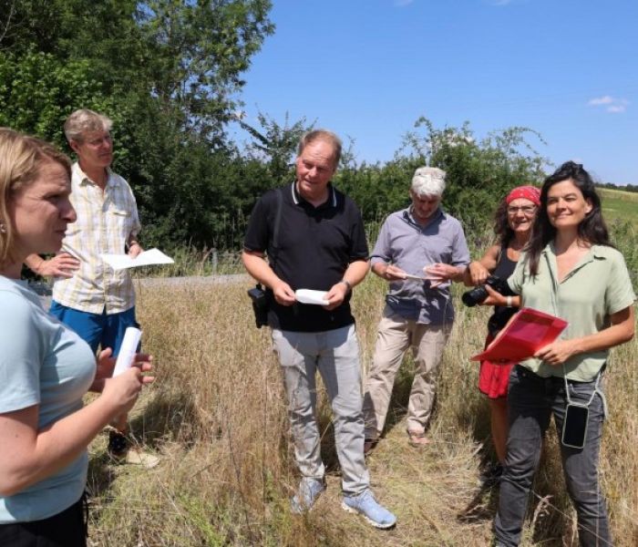 Die interessierten Besucher erkunden die verschiedenen Gründächer. (Foto: ZinCo)